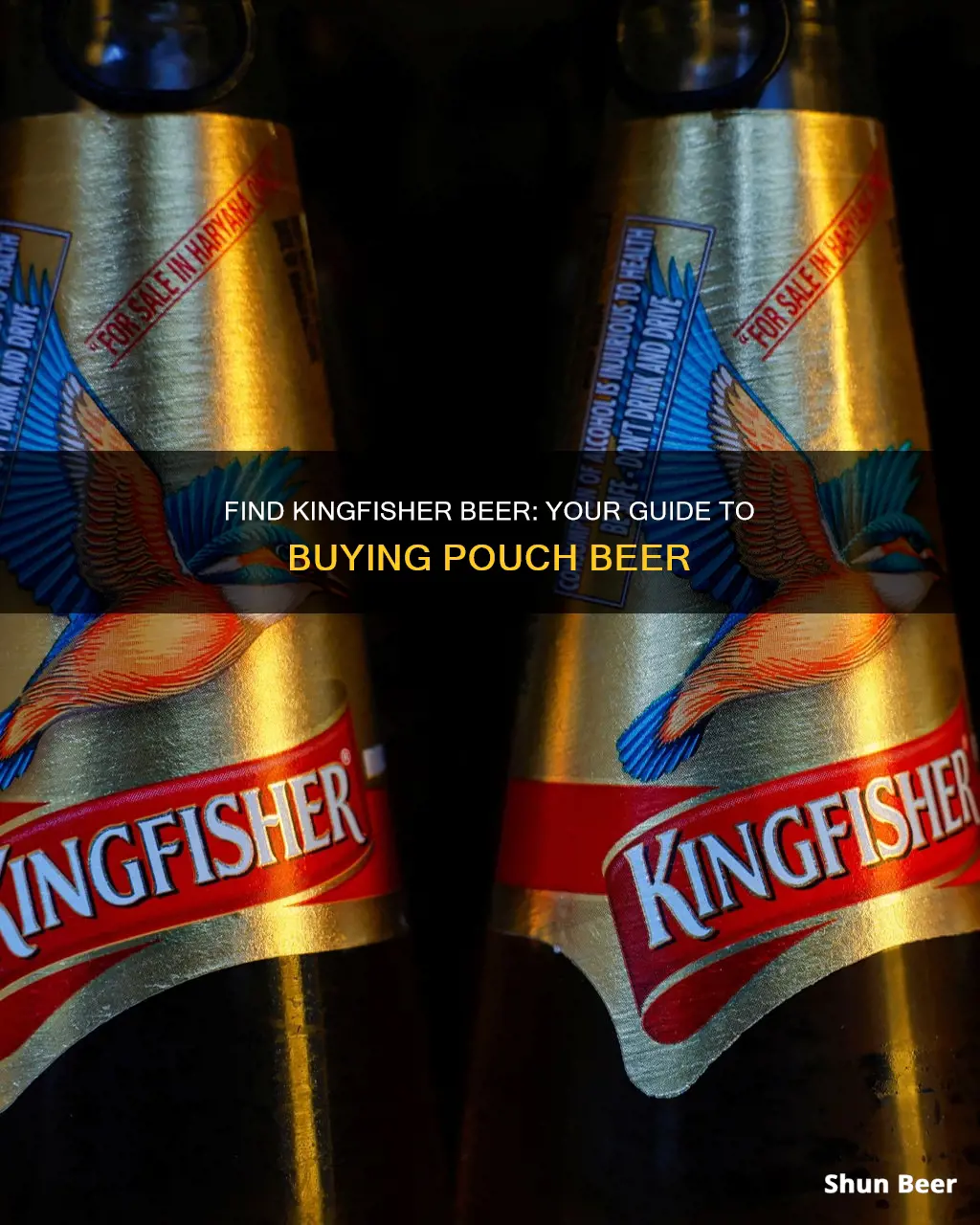 where to buy kingfisher beer pouch