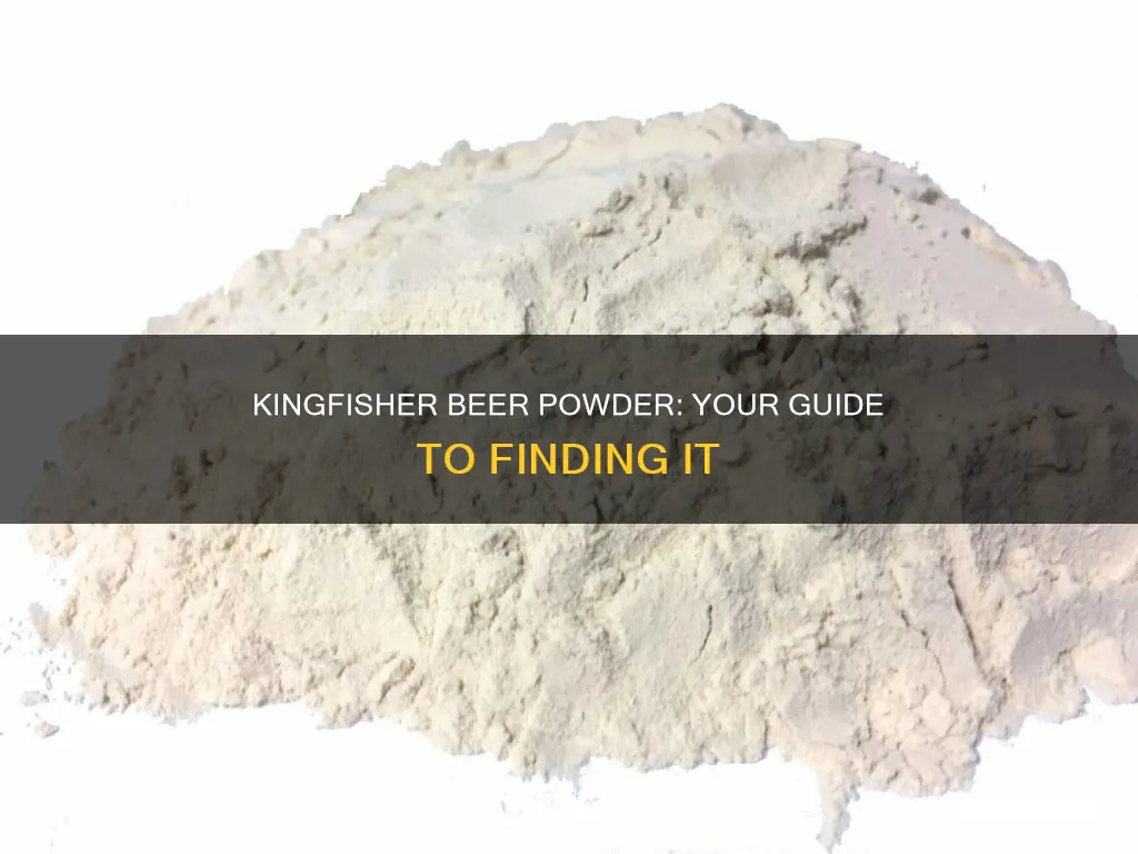 where to buy kingfisher beer powder