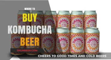 Kombucha Beer: Top Sources for Your Fermented Favorite