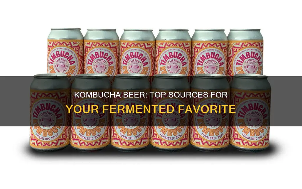 where to buy kombucha beer