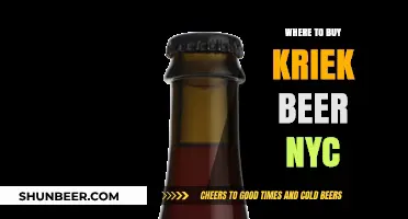 Kriek Beer in NYC: Top Spots to Find This Belgian Delight