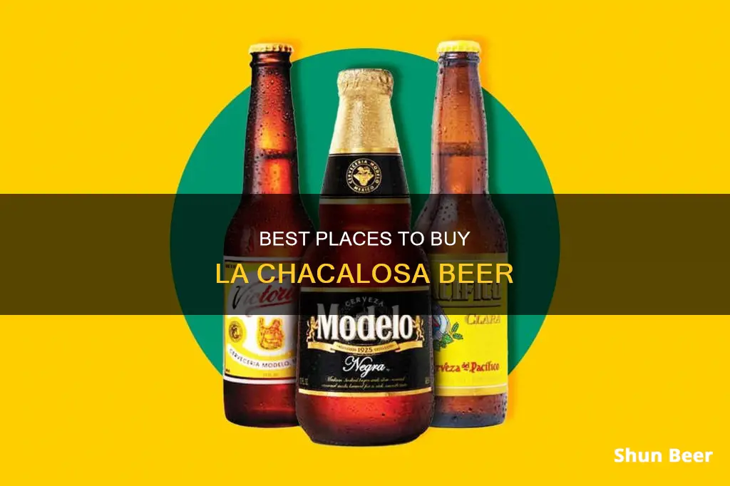 where to buy la chacalosa beer