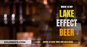 Lake Effect Beer: Where to Buy and Enjoy