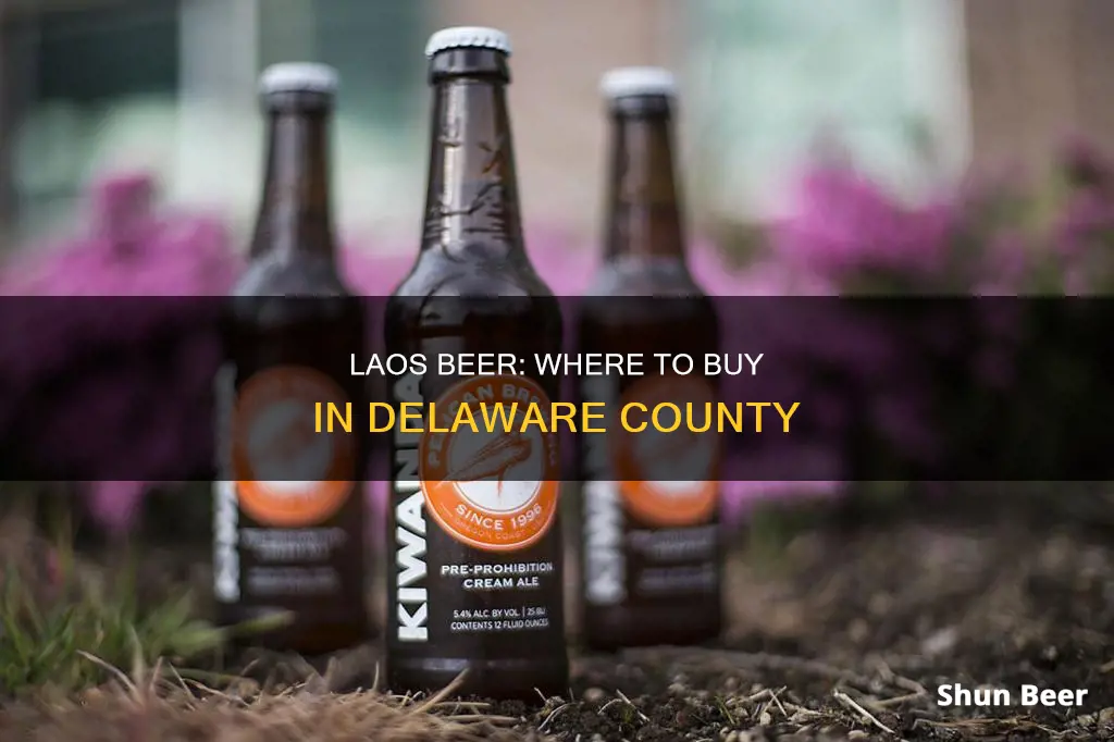 where to buy laos beer in delaware county