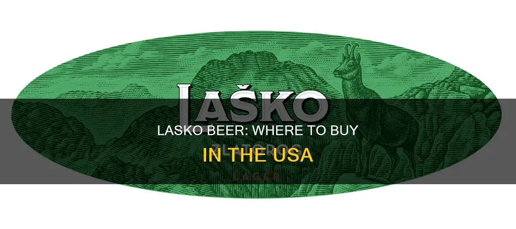 where to buy lasko beer in usa