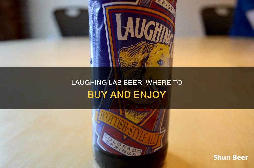 where to buy laughing lab beer