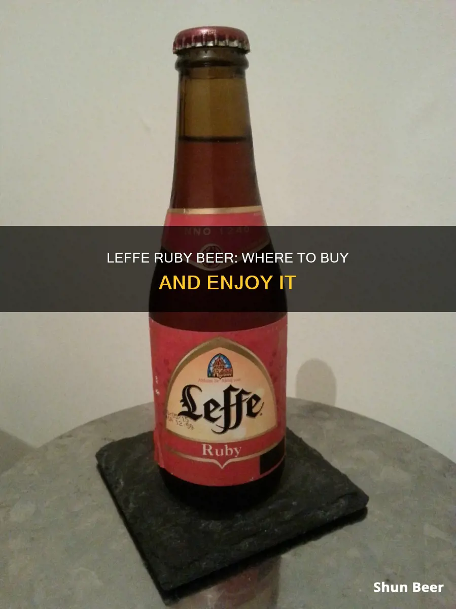 where to buy leffe ruby beer