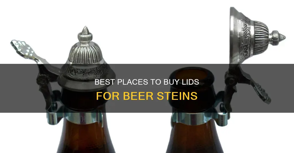 where to buy lids for beer steins