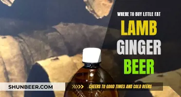 Best Places to Buy Little Fat Lamb Ginger Beer