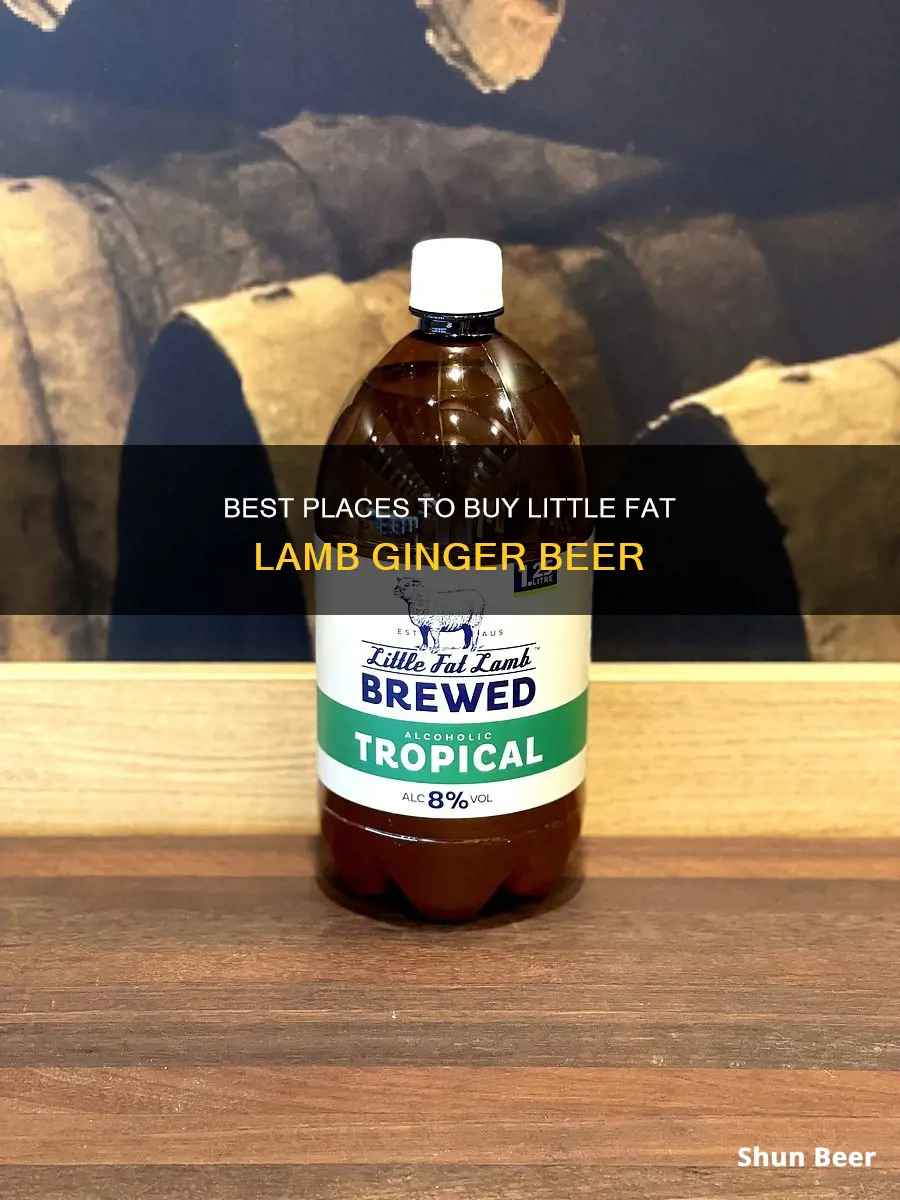 where to buy little fat lamb ginger beer