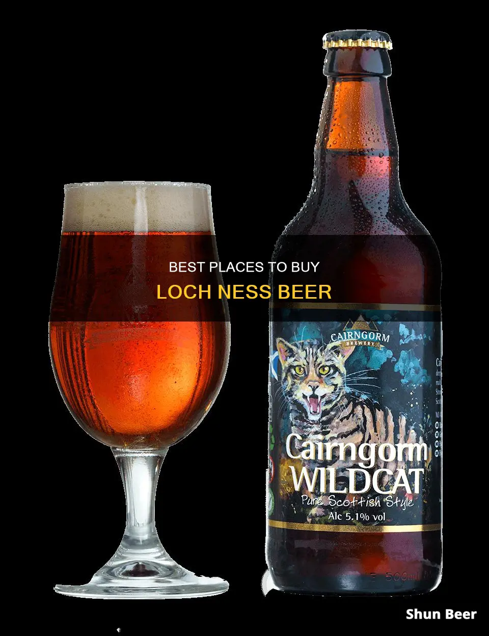 where to buy loch ness beer