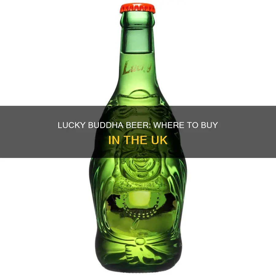 where to buy lucky buddha beer in the uk