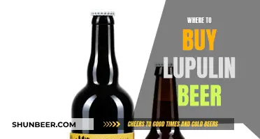 Lupulin Beer: Where to Buy and Enjoy It