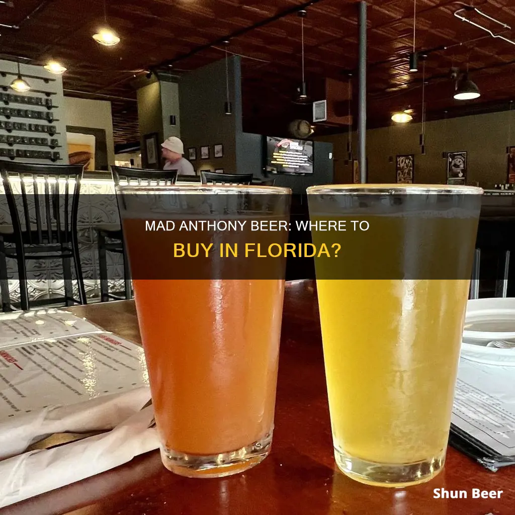 where to buy mad anthony beer in florida