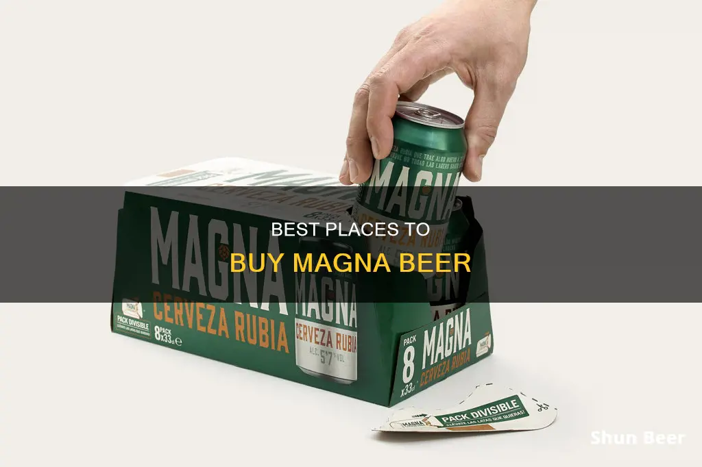 where to buy magna beer