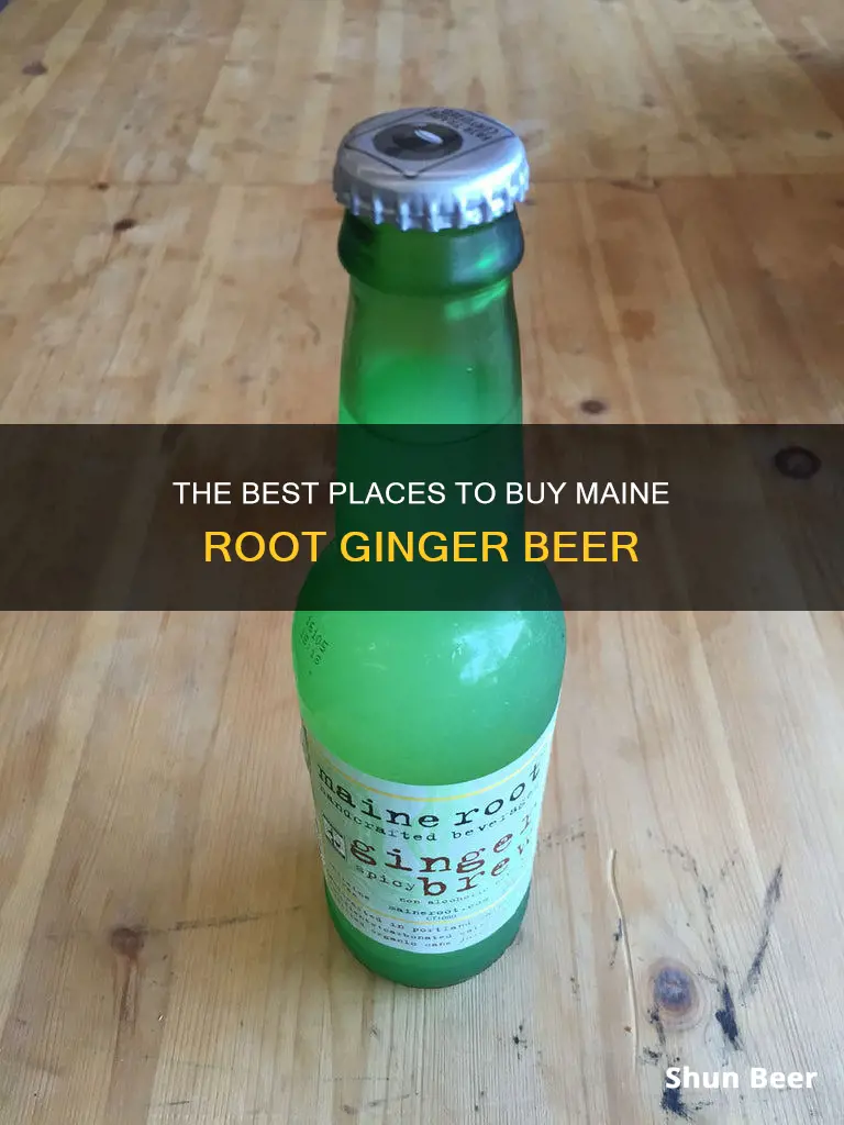 where to buy maine root ginger beer