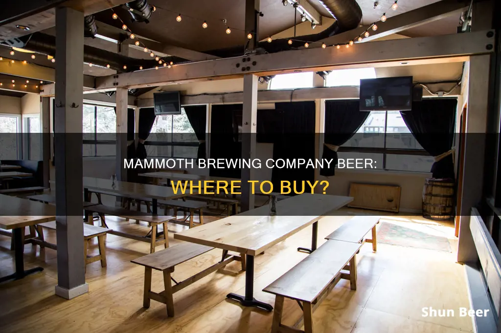 where to buy mammoth brewing company beer