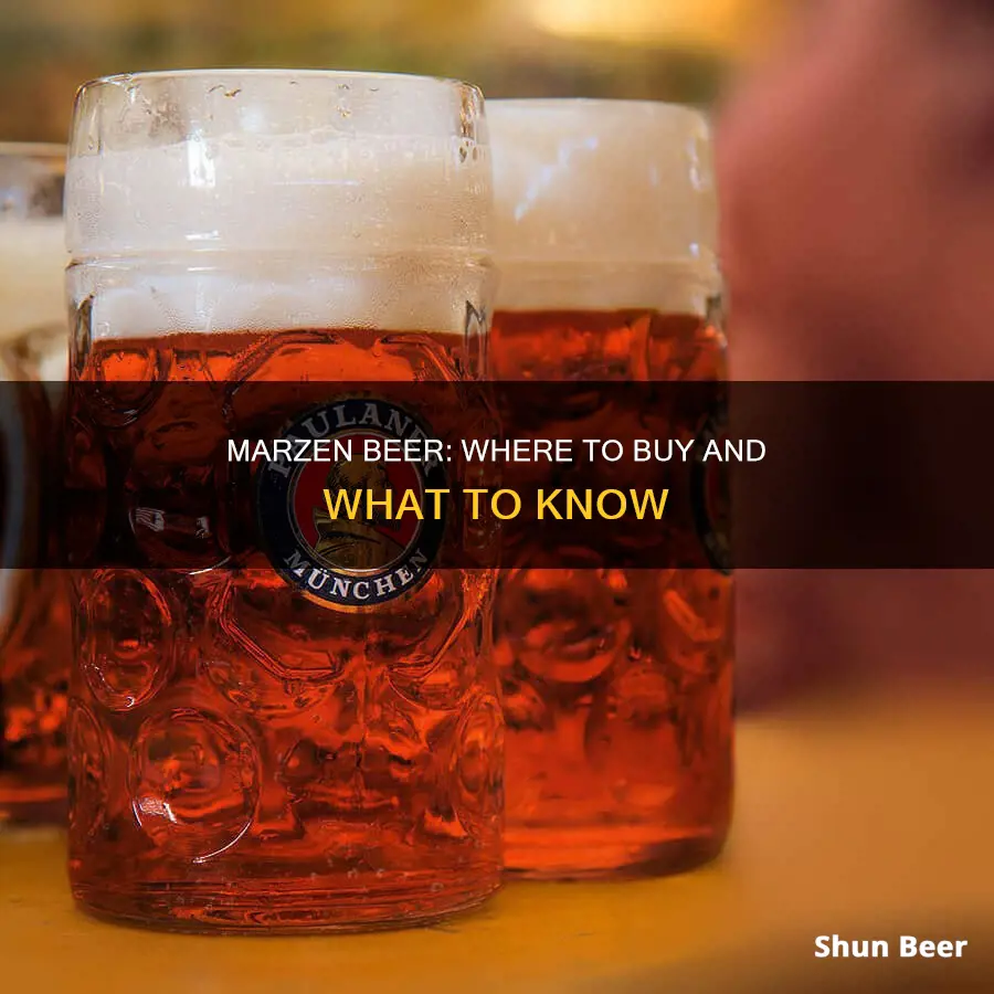 where to buy marzen beer