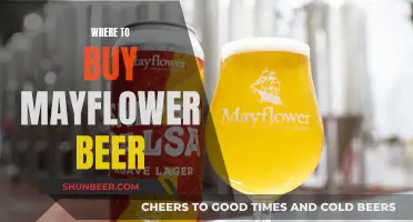 Mayflower Beer: Where to Buy and Enjoy It