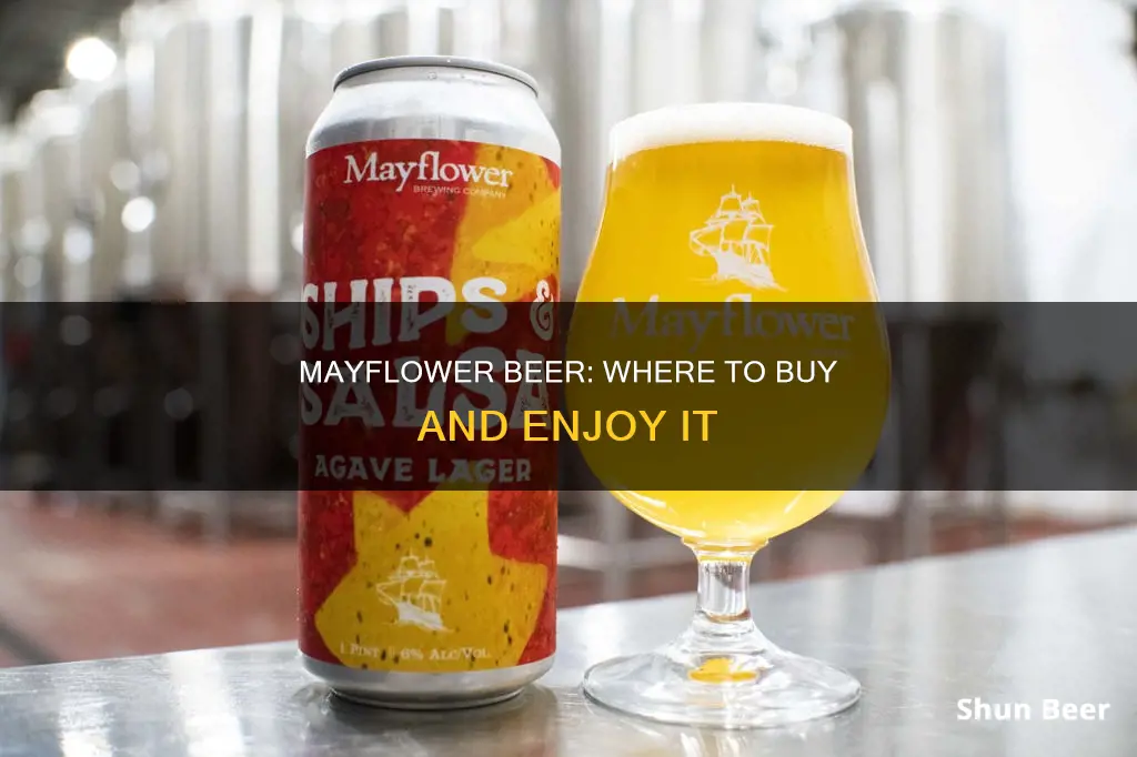 where to buy mayflower beer