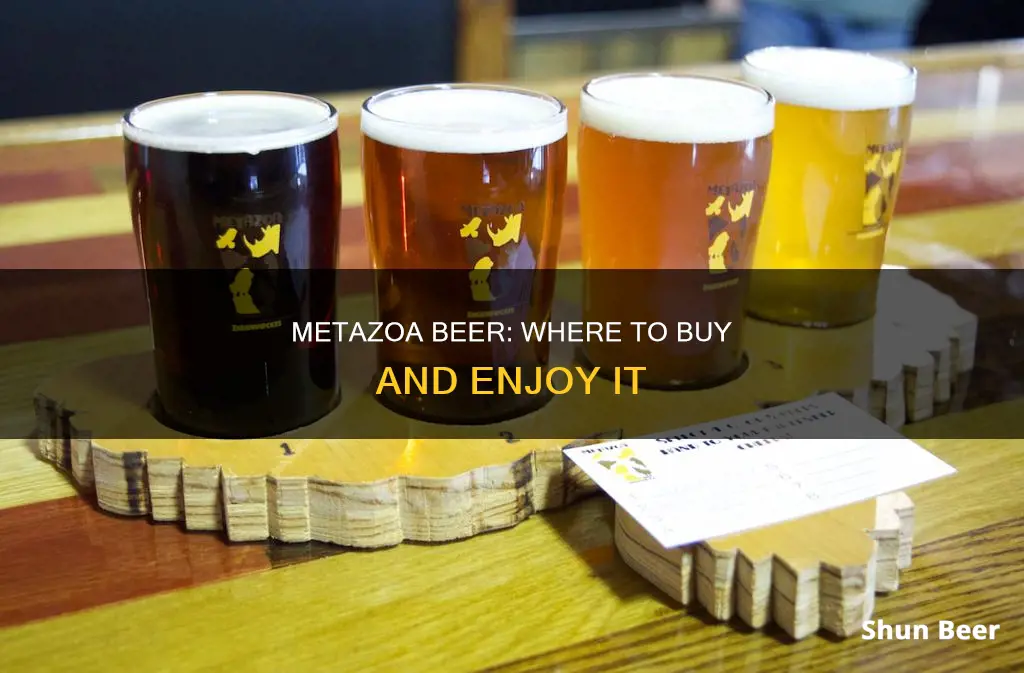 where to buy metazoa beer