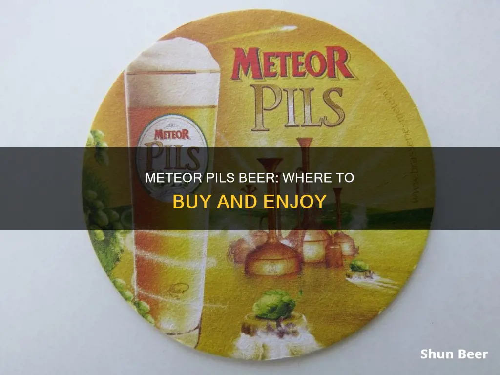 where to buy meteor pils beer