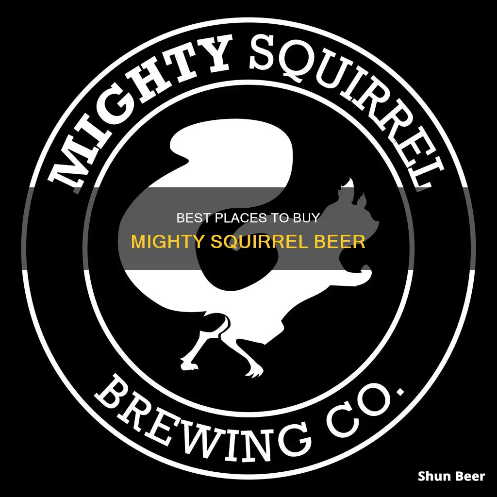 where to buy mighty squirrel beer