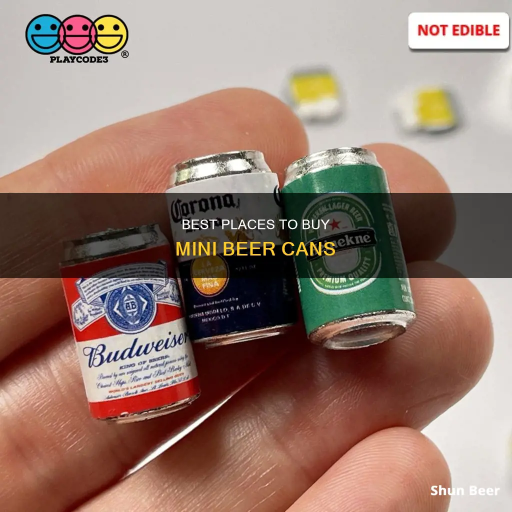 where to buy mini beer cans