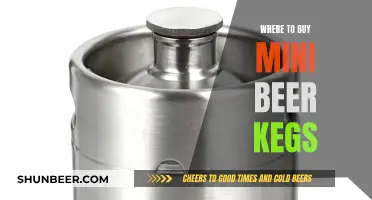 Best Places to Buy Mini Beer Kegs