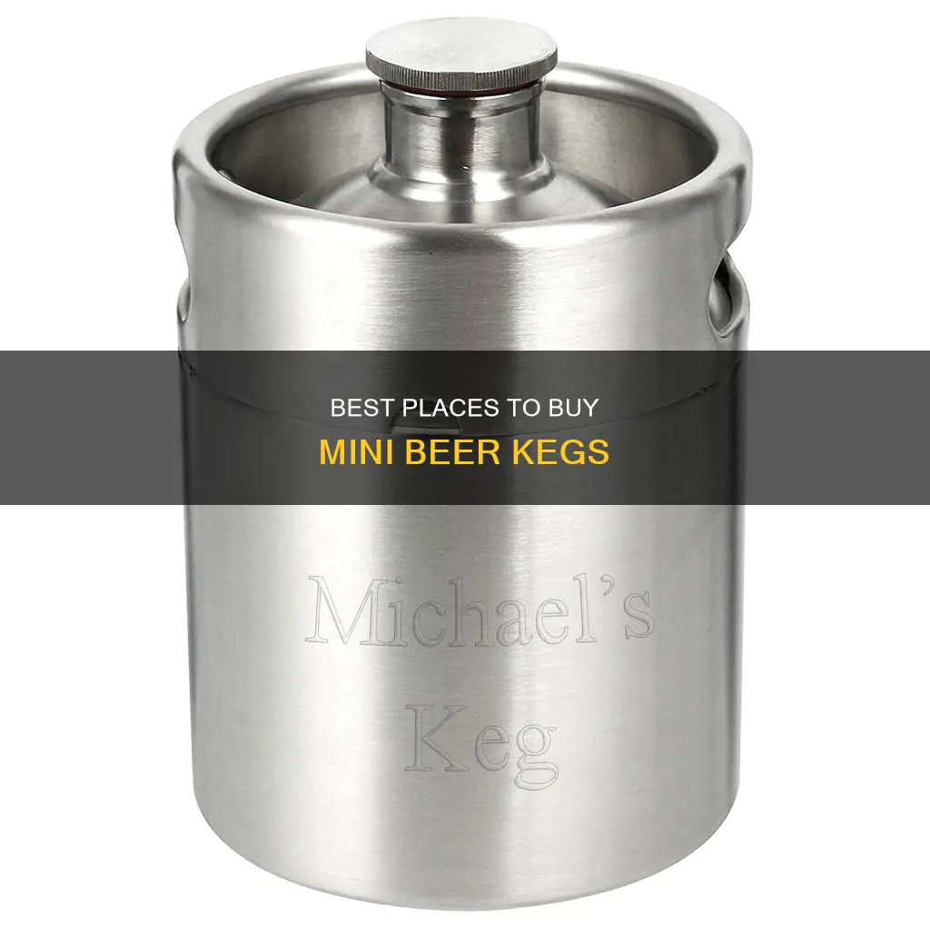 where to buy mini beer kegs