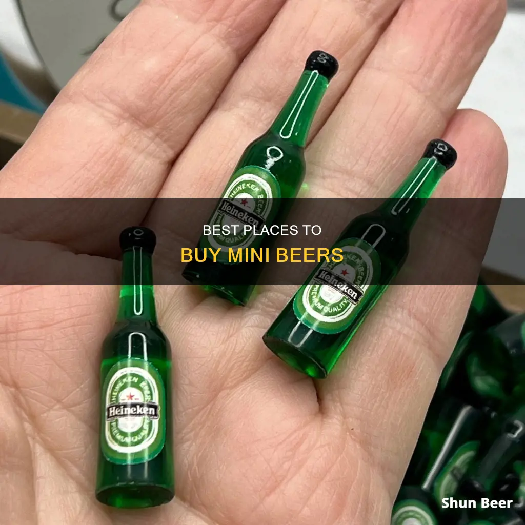 where to buy mini beers