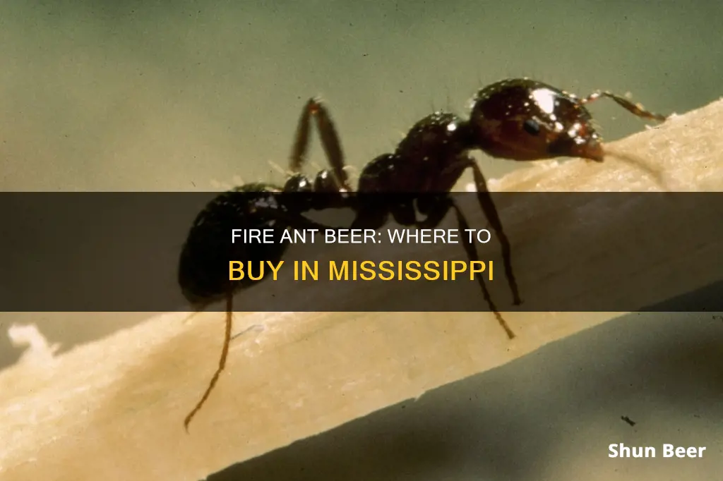 where to buy mississippi fire ant beer