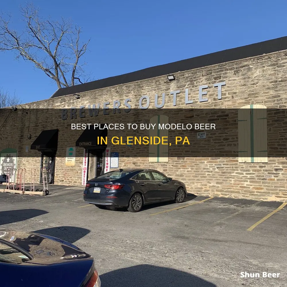 where to buy modelo beer in glenside pa