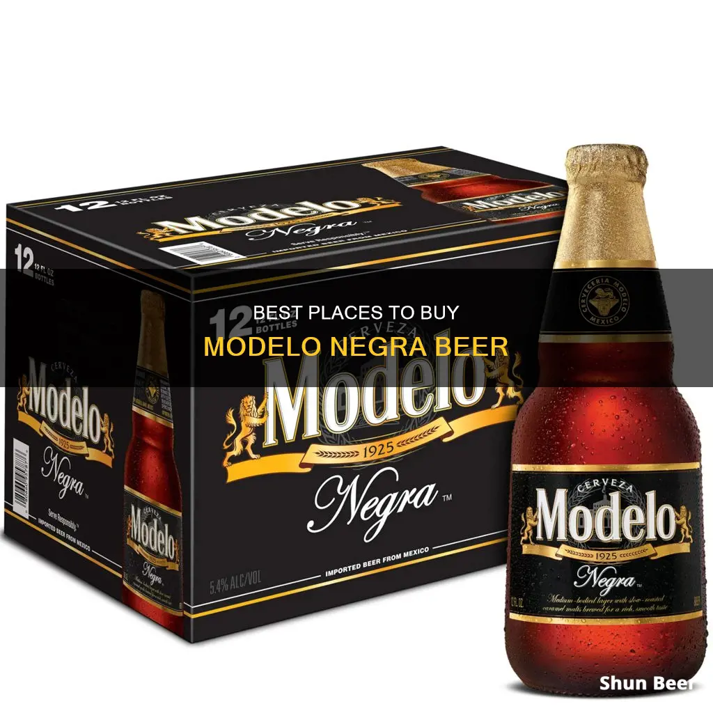 where to buy modelo negra beer