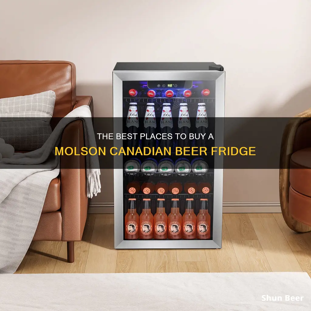 where to buy molson canadian beer fridge