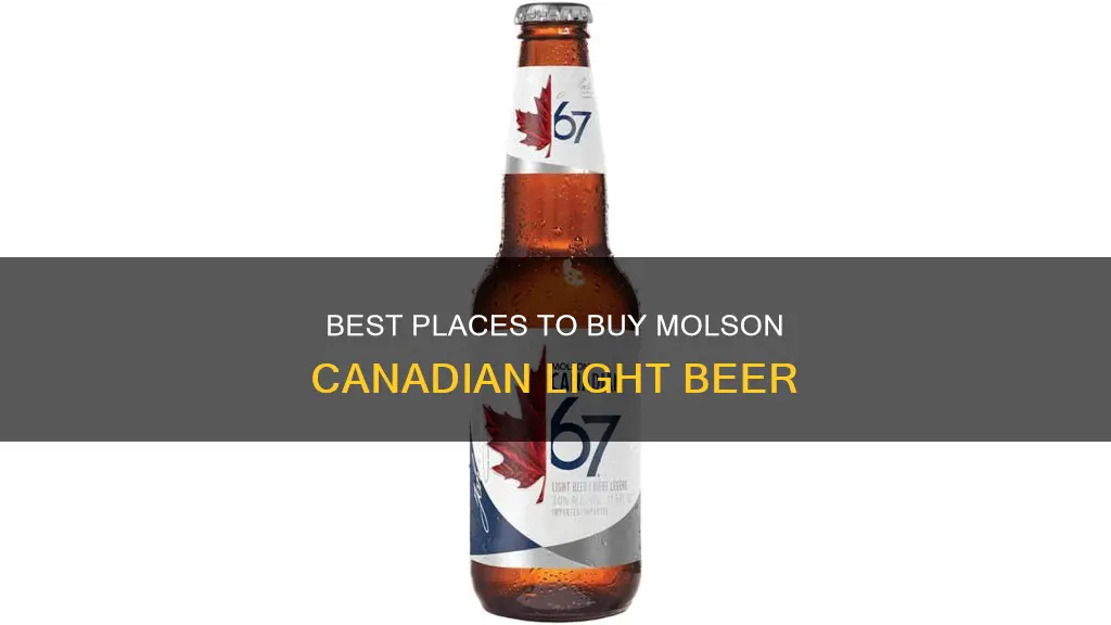 where to buy molson canadian light beer