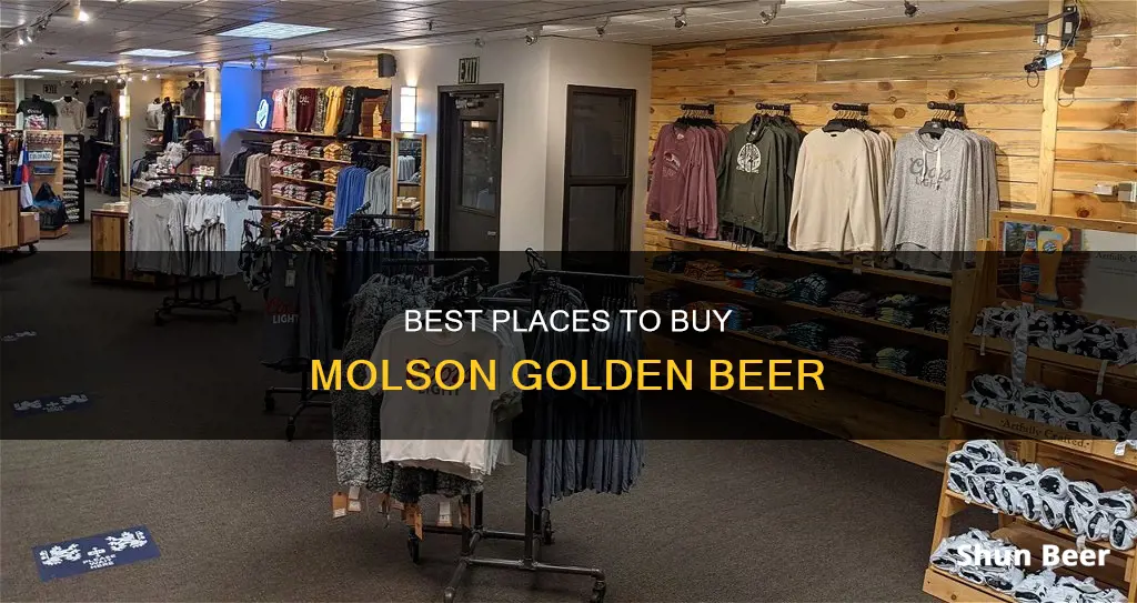 where to buy molson golden beer