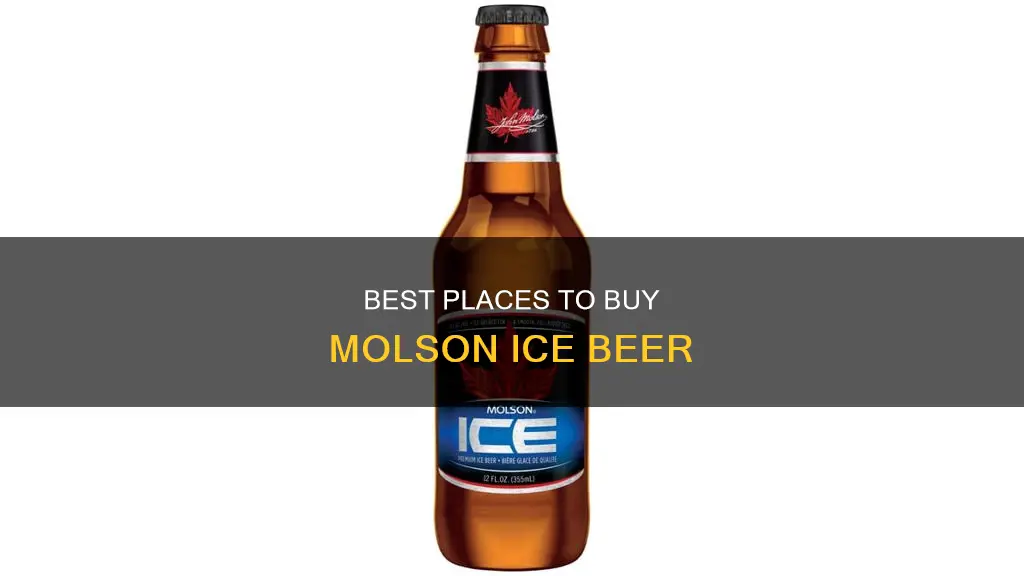 where to buy molson ice beer