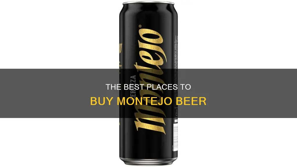 where to buy montejo beer