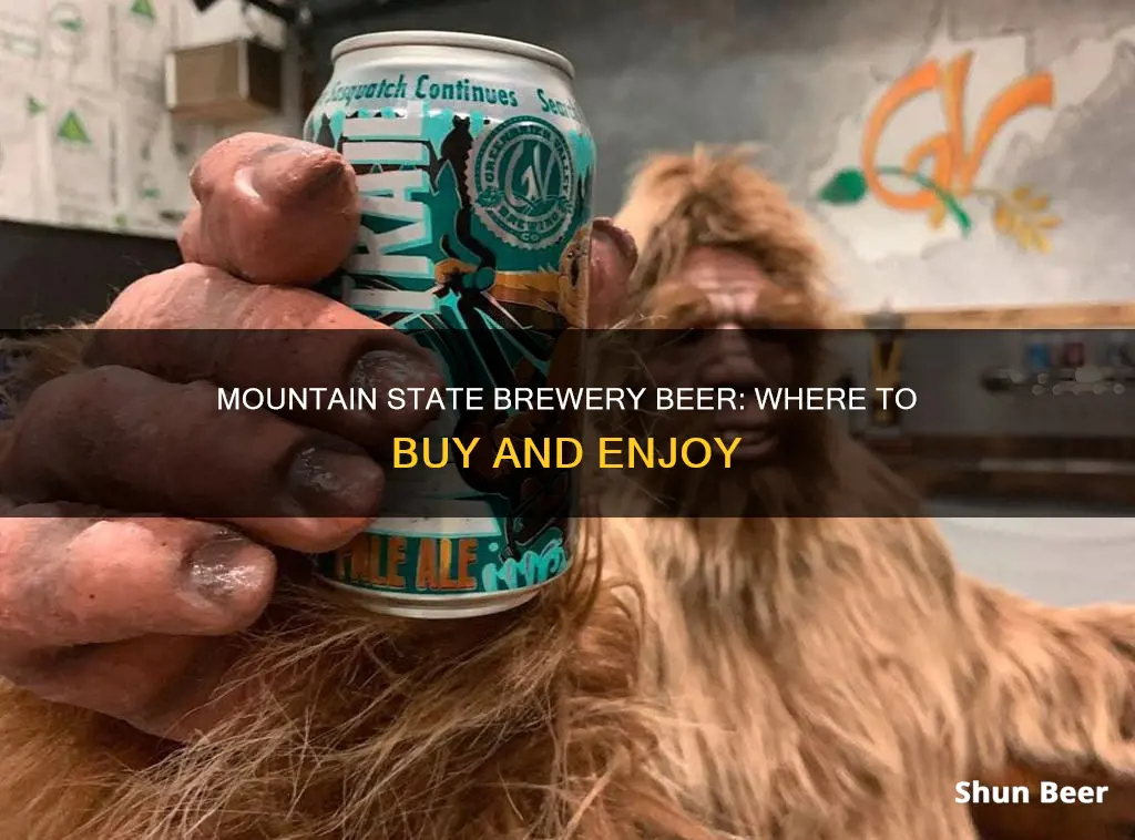 where to buy mountain state brewery beer