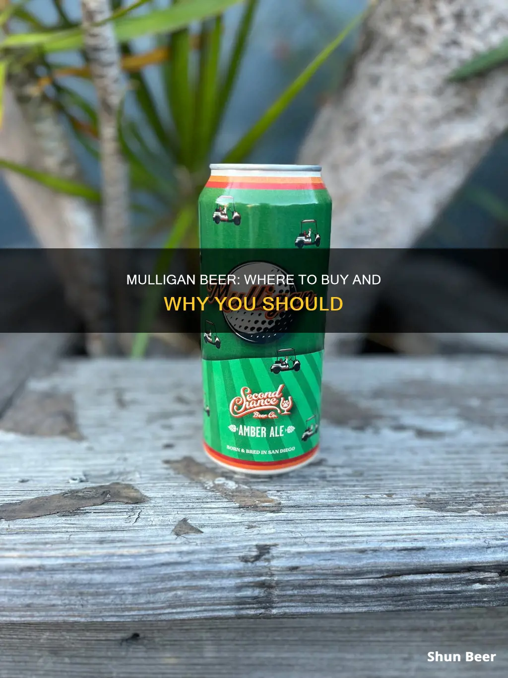 where to buy mulligan by second chance beer co