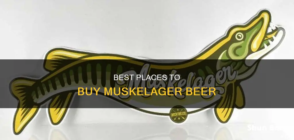 where to buy muskelager beer