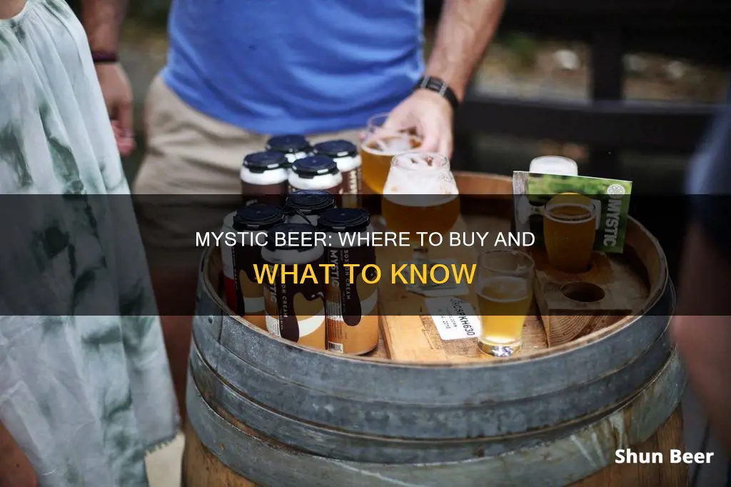 where to buy mystic beer