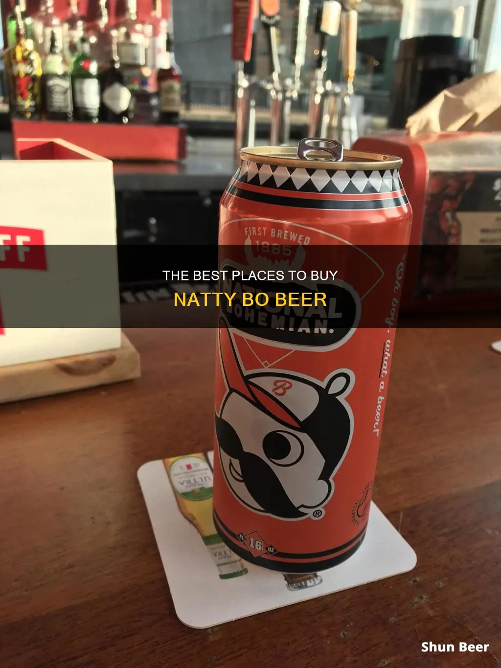 where to buy natty bo beer