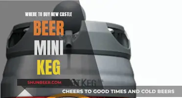 Best Places to Buy Newcastle Mini Kegs