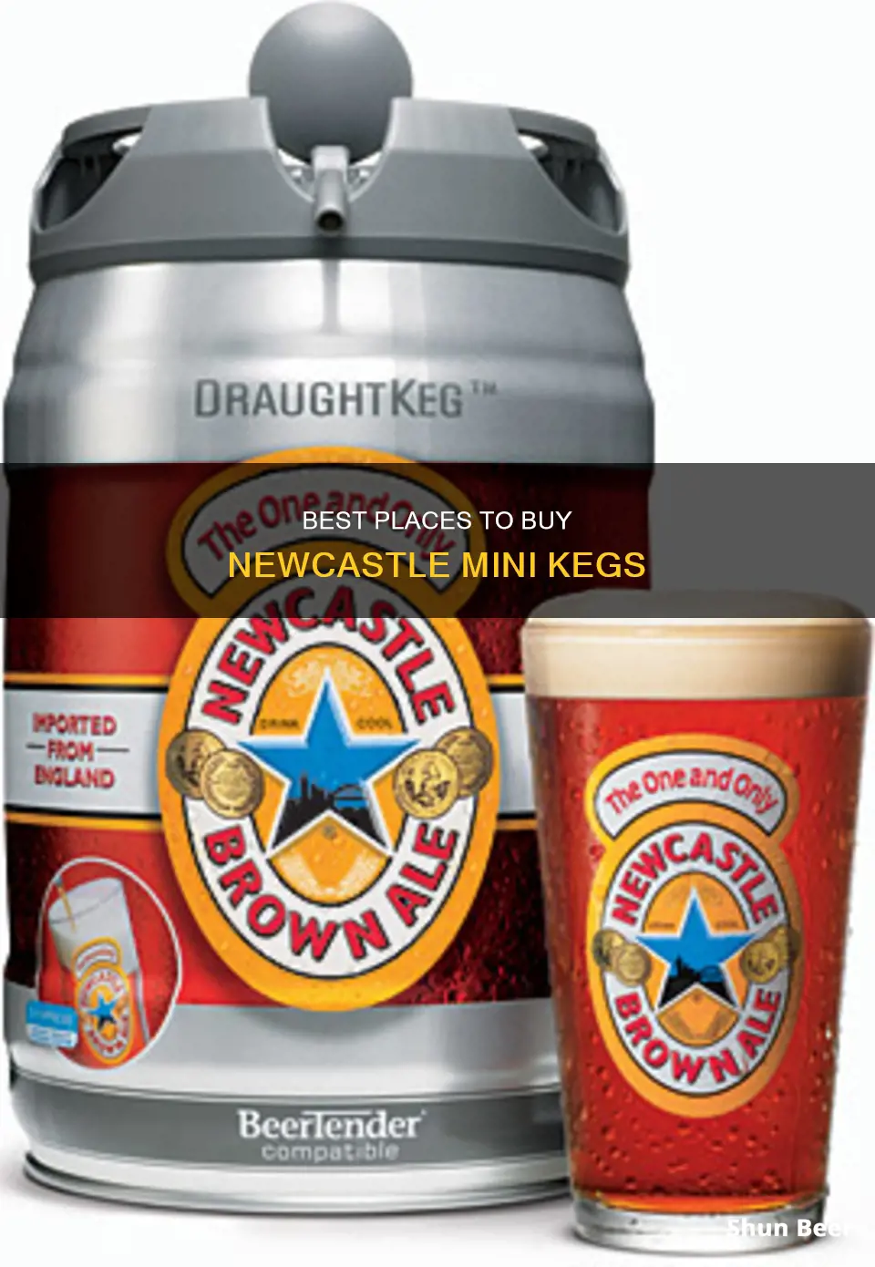 where to buy new castle beer mini keg