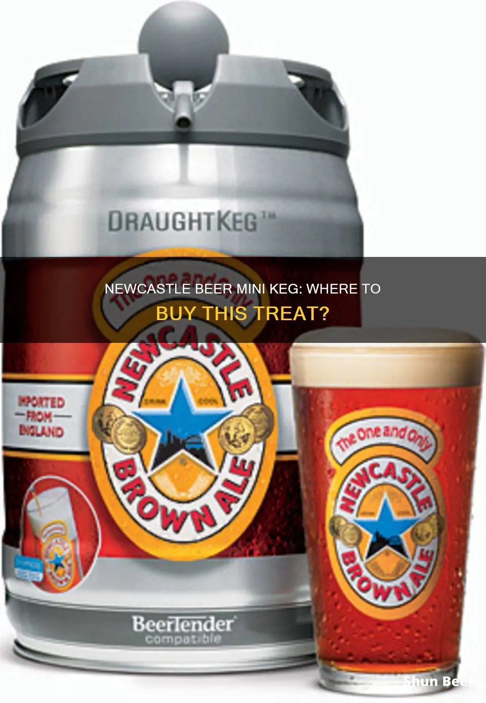 where to buy newcastle beer mini keg