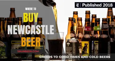 Newcastle Beer: Where to Buy and Enjoy It