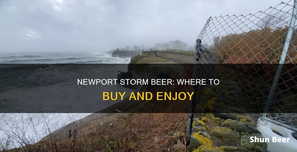 where to buy newport storm beer