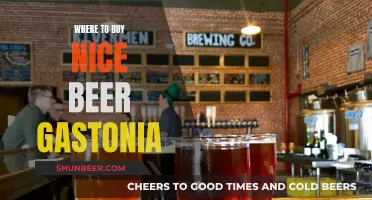 Gastonia's Best Beer: Where to Buy Quality Brews